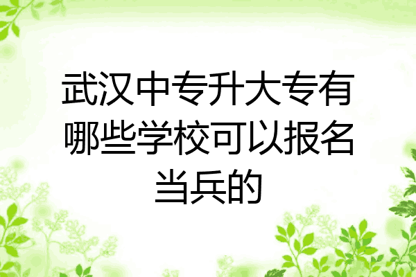 武汉中专升大专有哪些学校可以报名当兵的