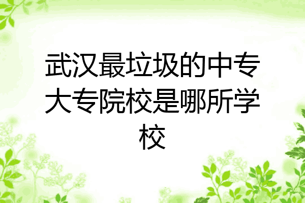 武汉最垃圾的中专大专院校是哪所学校