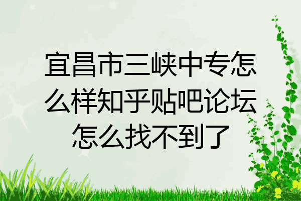宜昌市三峡中专怎么样知乎贴吧论坛怎么找不到了