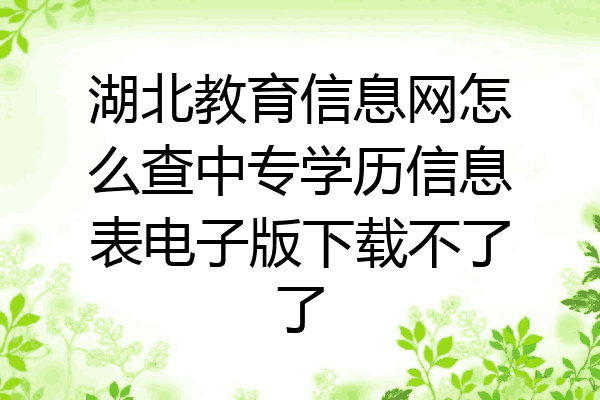 湖北教育信息网怎么查中专学历信息表电子版下载不了了