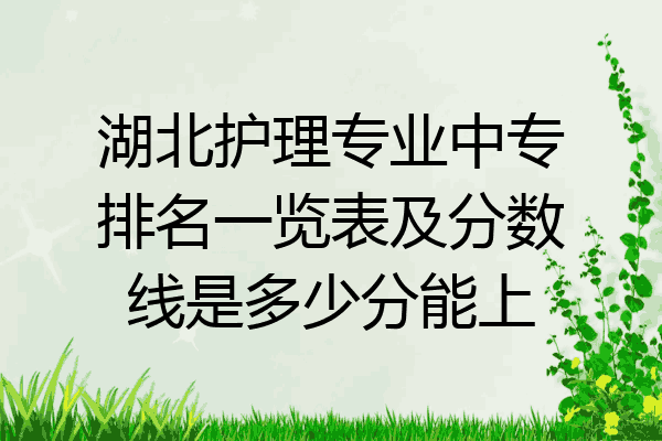 湖北护理专业中专排名一览表及分数线是多少分能上