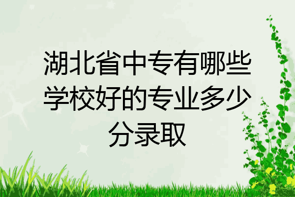 湖北省中专有哪些学校好的专业多少分录取