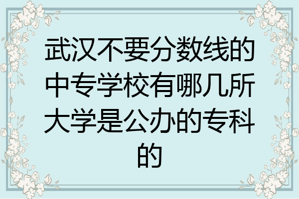 武汉不要分数线的中专学校有哪几所大学是公办的专科的