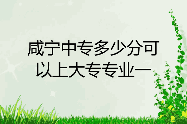 咸宁中专多少分可以上大专专业一