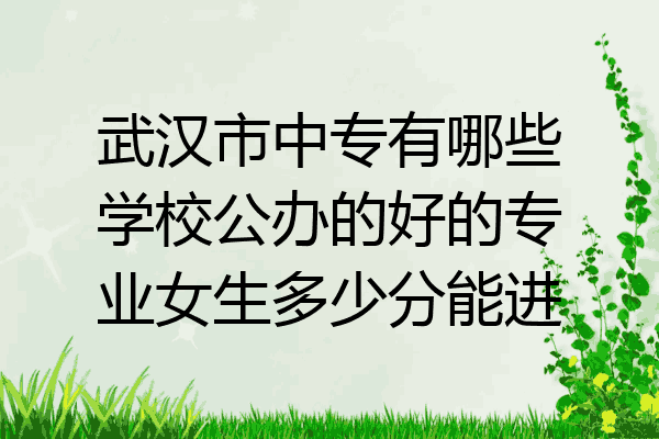 武汉市中专有哪些学校公办的好的专业女生多少分能进