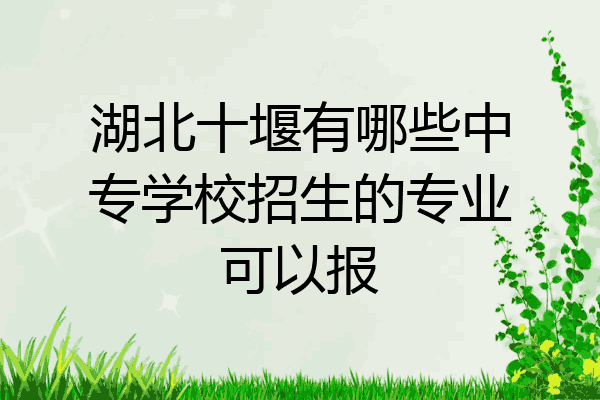 湖北十堰有哪些中专学校招生的专业可以报