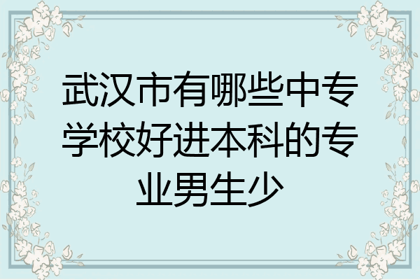 武汉市有哪些中专学校好进本科的专业男生少