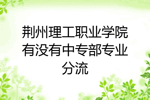 荆州理工职业学院有没有中专部专业分流