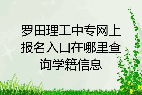 罗田理工中专网上报名入口在哪里查询学籍信息