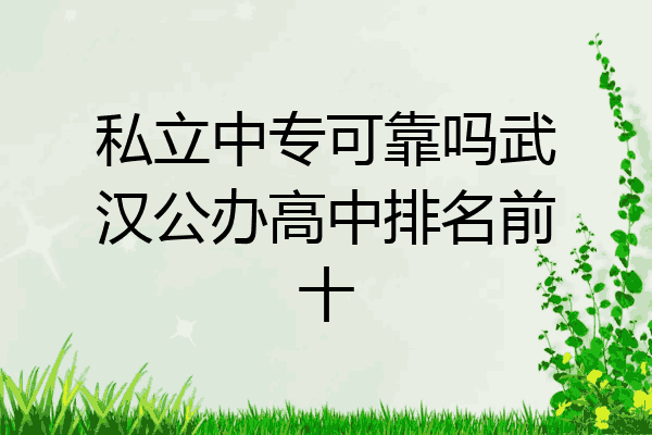私立中专可靠吗武汉公办高中排名前十