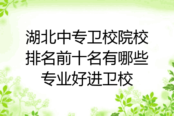 湖北中专卫校院校排名前十名有哪些专业好进卫校