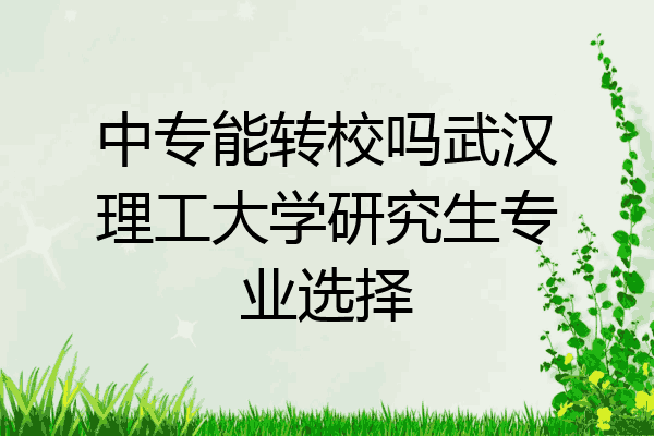 中专能转校吗武汉理工大学研究生专业选择