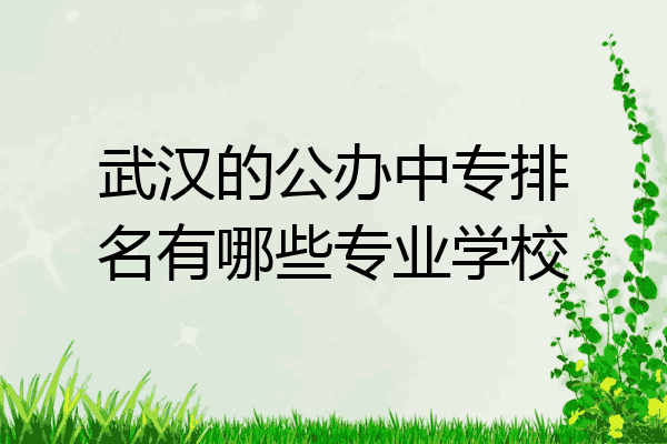 武汉的公办中专排名有哪些专业学校