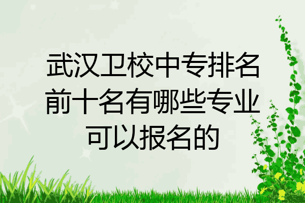 武汉卫校中专排名前十名有哪些专业可以报名的