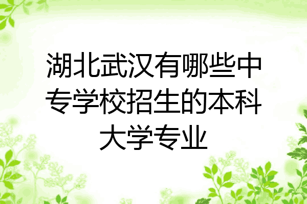湖北武汉有哪些中专学校招生的本科大学专业