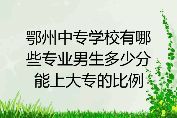 鄂州中专学校有哪些专业男生多少分能上大专的比例