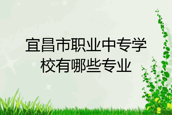 宜昌市职业中专学校有哪些专业