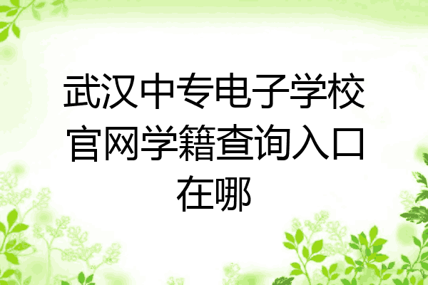 武汉中专电子学校官网学籍查询入口在哪