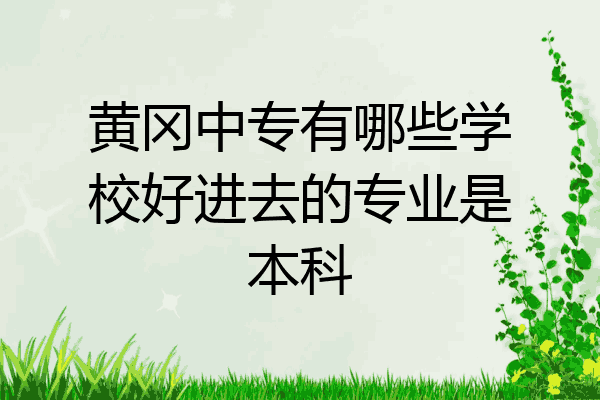 黄冈中专有哪些学校好进去的专业是本科