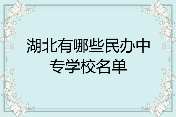湖北有哪些民办中专学校名单