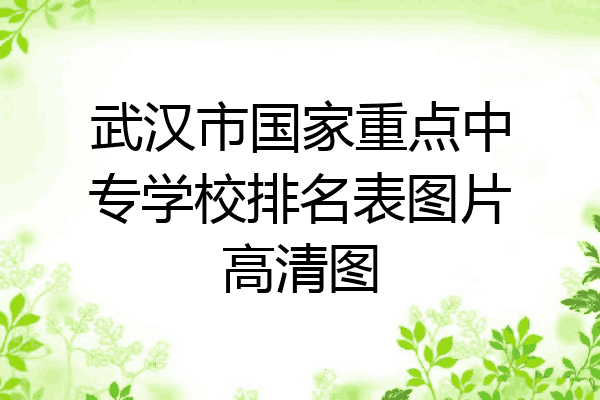 武汉市国家重点中专学校排名表图片高清图
