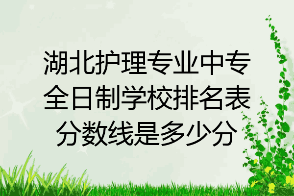 湖北护理专业中专全日制学校排名表分数线是多少分