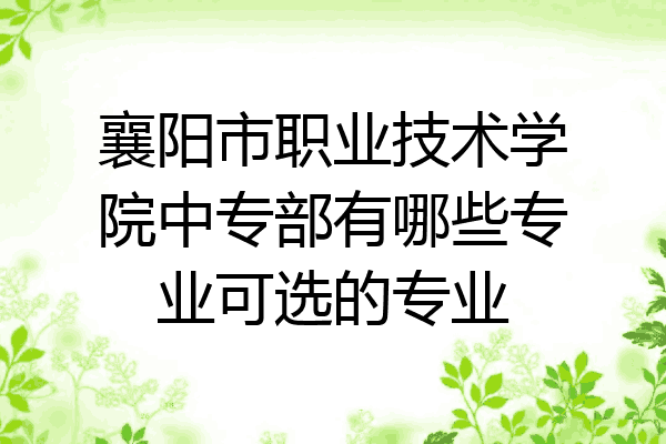 襄阳市职业技术学院中专部有哪些专业可选的专业