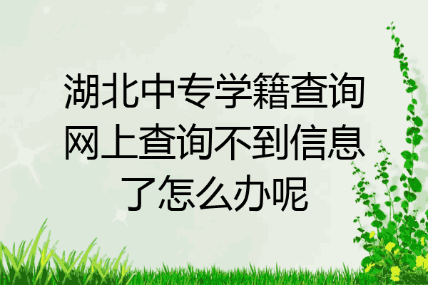 湖北中专学籍查询网上查询不到信息了怎么办呢