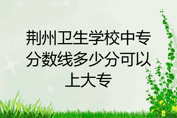荆州卫生学校中专分数线多少分可以上大专