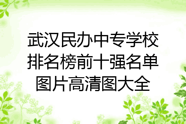 武汉民办中专学校排名榜前十强名单图片高清图大全