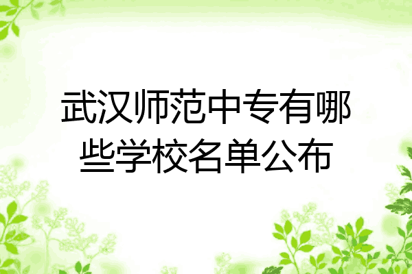 武汉师范中专有哪些学校名单公布