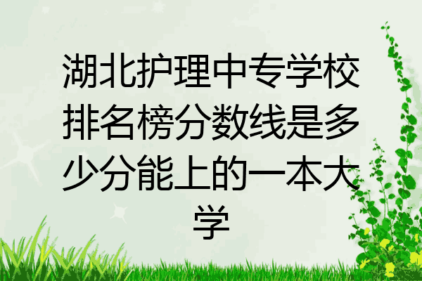 湖北护理中专学校排名榜分数线是多少分能上的一本大学