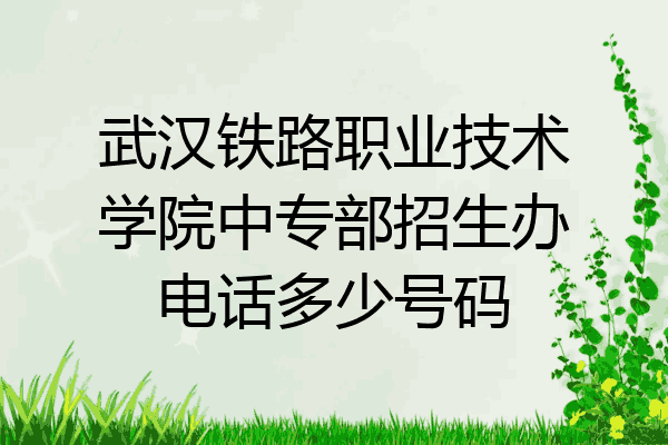 武汉铁路职业技术学院中专部招生办电话多少号码