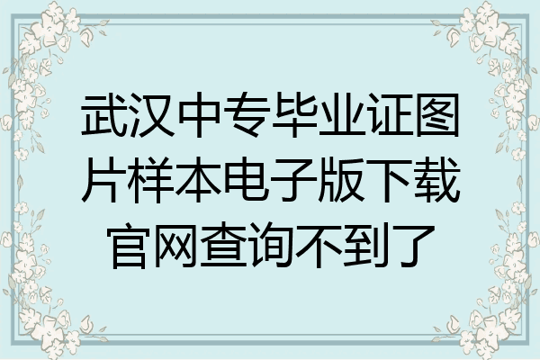 武汉中专毕业证图片样本电子版下载官网查询不到了