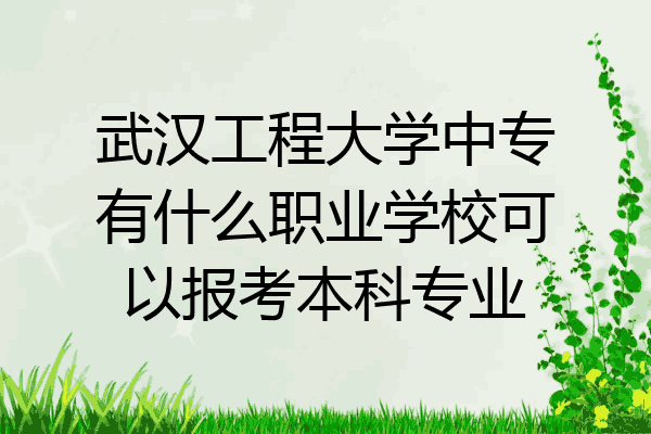武汉工程大学中专有什么职业学校可以报考本科专业