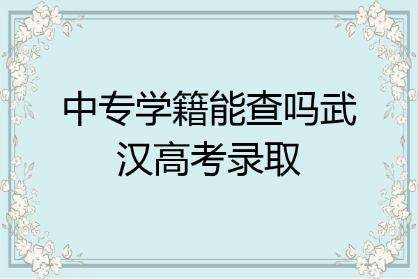 中专学籍能查吗武汉高考录取