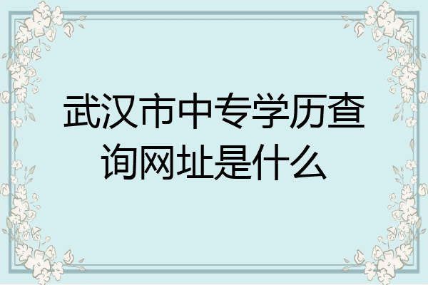 武汉市中专学历查询网址是什么