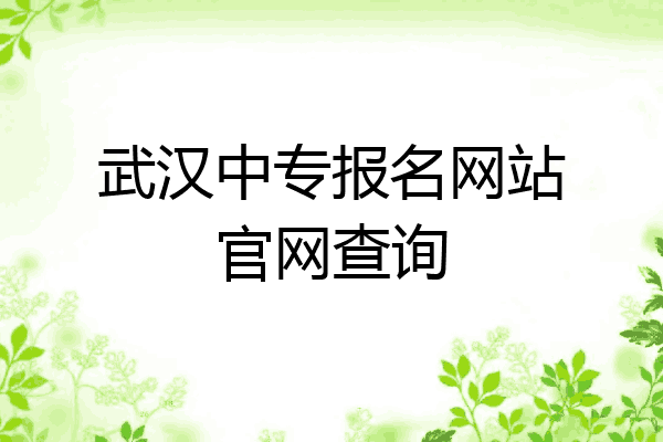 武汉中专报名网站官网查询