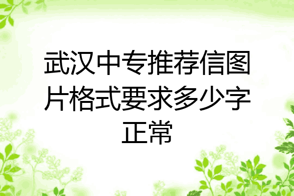武汉中专推荐信图片格式要求多少字正常
