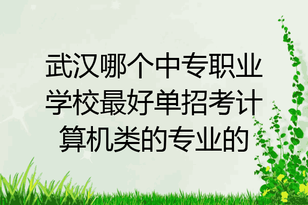 武汉哪个中专职业学校最好单招考计算机类的专业的