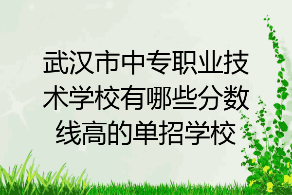 武汉市中专职业技术学校有哪些分数线高的单招学校