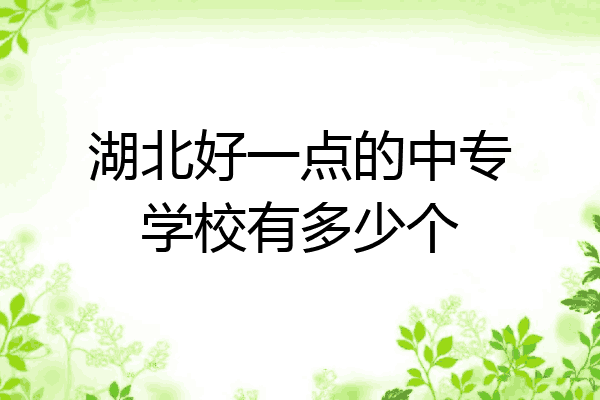 湖北好一点的中专学校有多少个