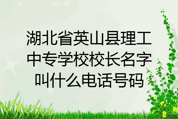 湖北省英山县理工中专学校校长名字叫什么电话号码