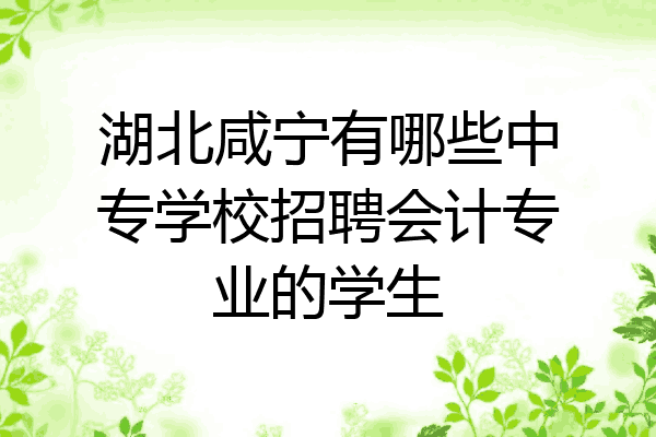 湖北咸宁有哪些中专学校招聘会计专业的学生
