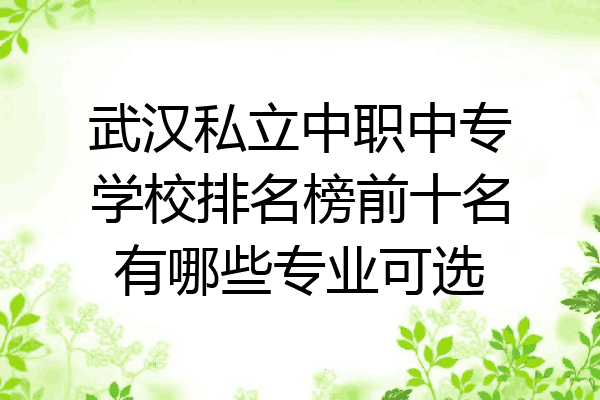 武汉私立中职中专学校排名榜前十名有哪些专业可选