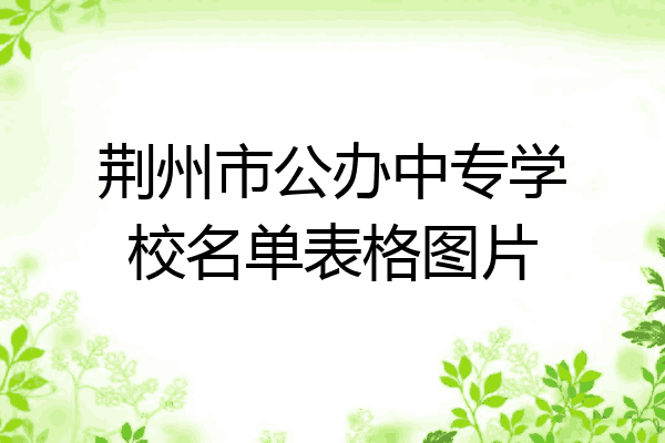 荆州市公办中专学校名单表格图片