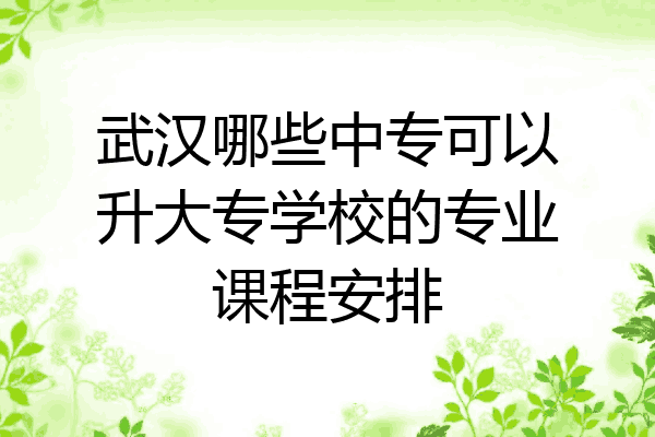 武汉哪些中专可以升大专学校的专业课程安排