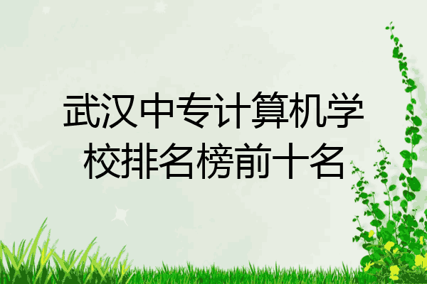 武汉中专计算机学校排名榜前十名