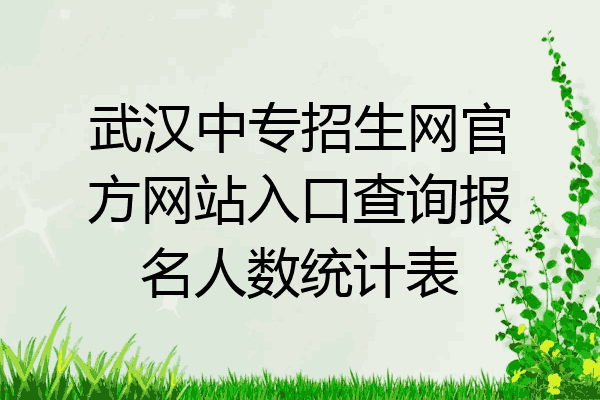 武汉中专招生网官方网站入口查询报名人数统计表
