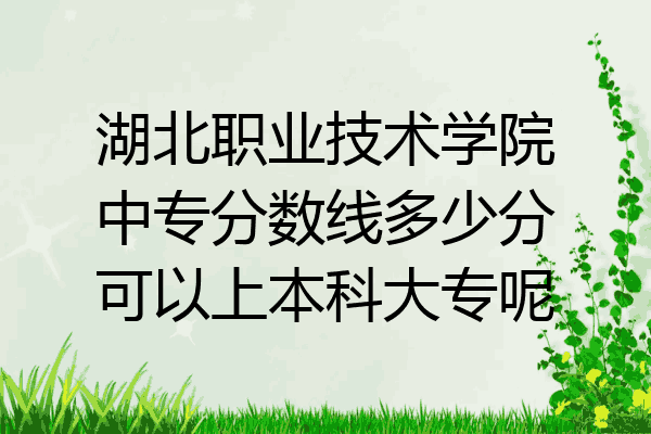 湖北职业技术学院中专分数线多少分可以上本科大专呢